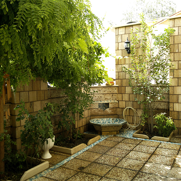pedari cover